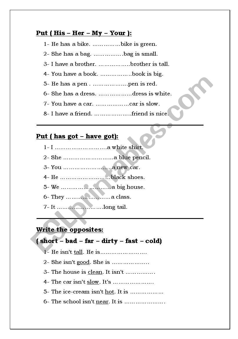 Grammar worksheet