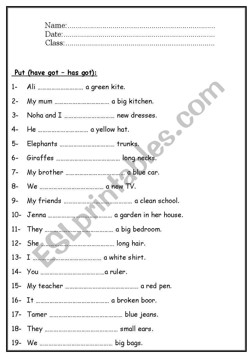  Put (have got  has got): worksheet