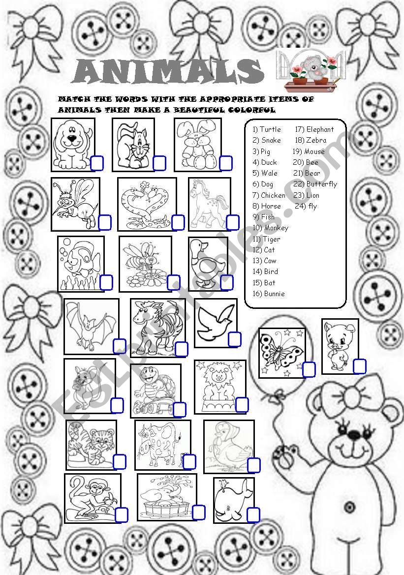 ANIMALS worksheet