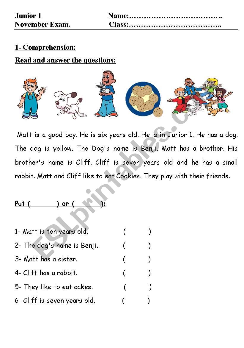 1- Comprehension: worksheet