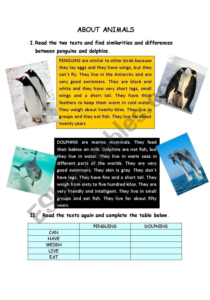 About Animals (Reading activity)