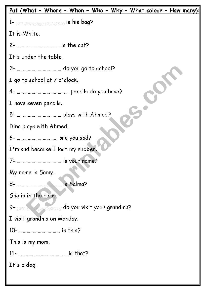 Wh Questions worksheet