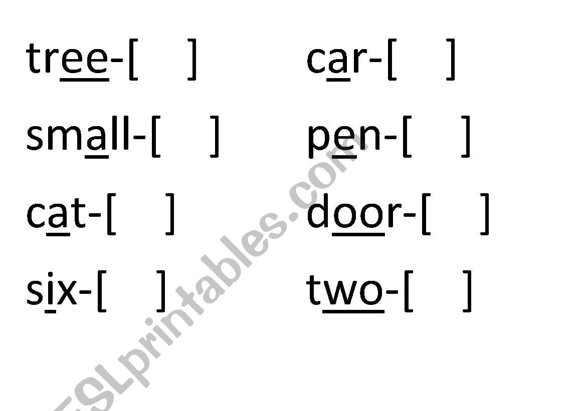 transcription worksheet