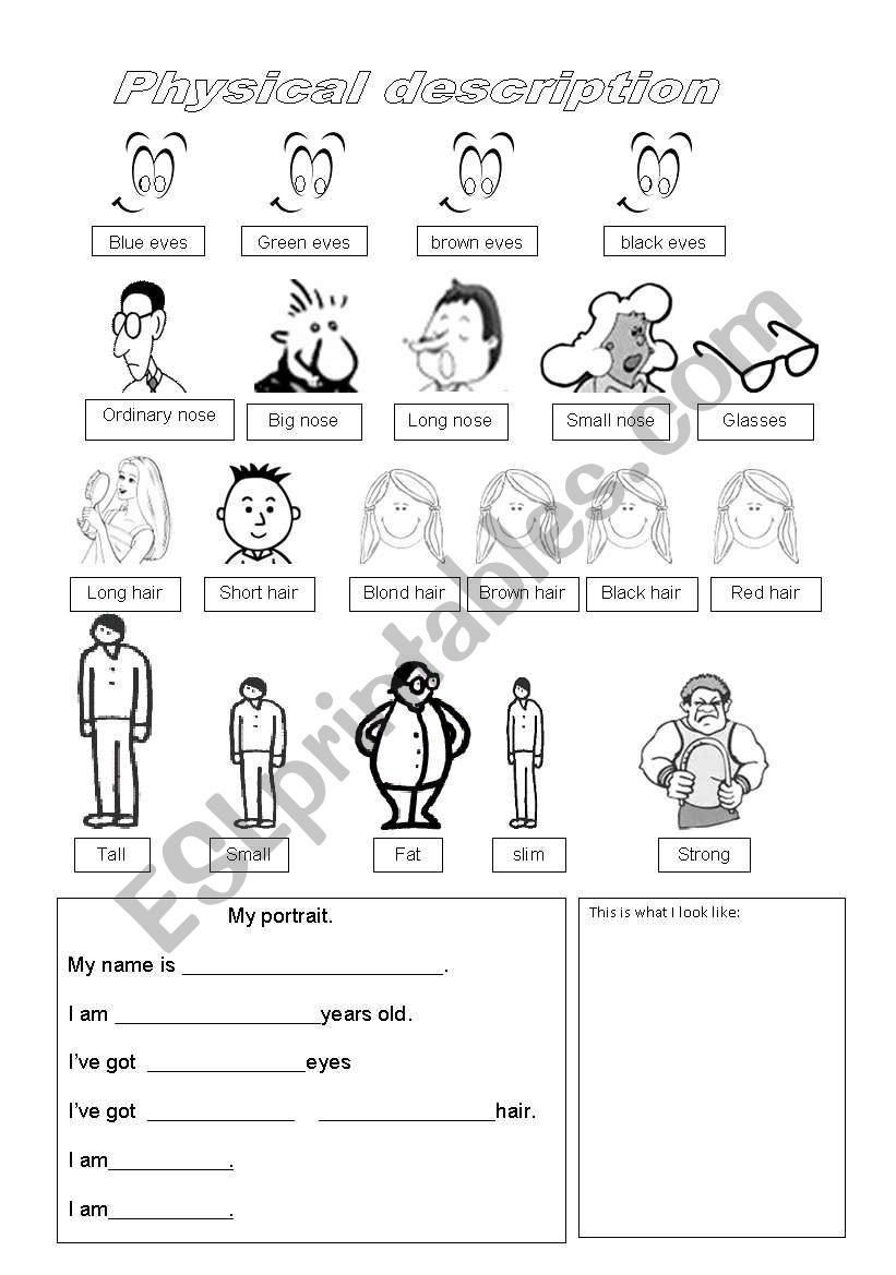 physical description worksheet