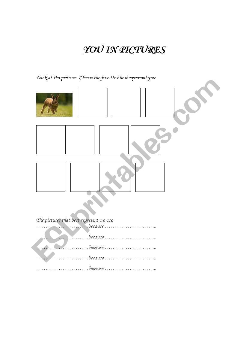 You in Pictures worksheet