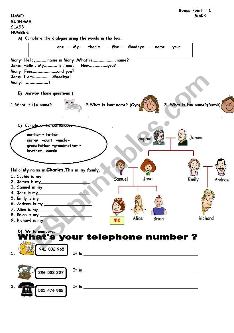 quiz for beginners worksheet