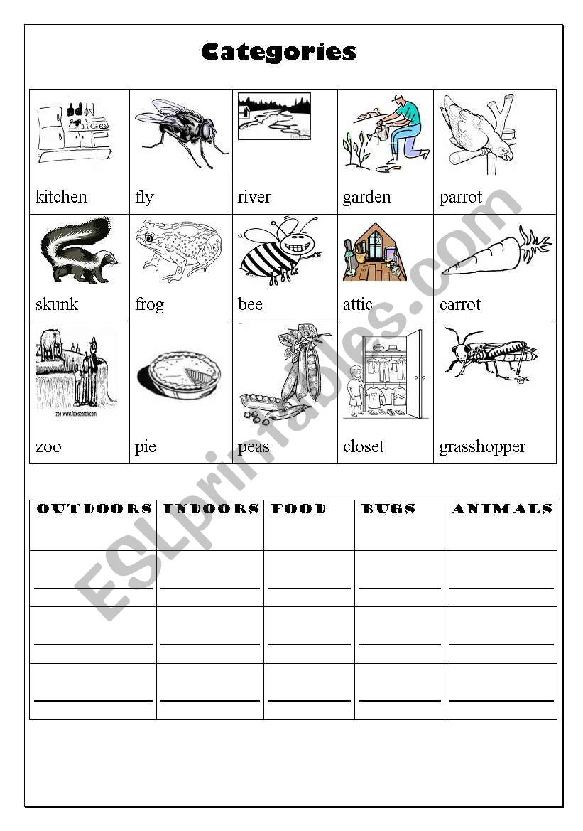 Categories worksheet