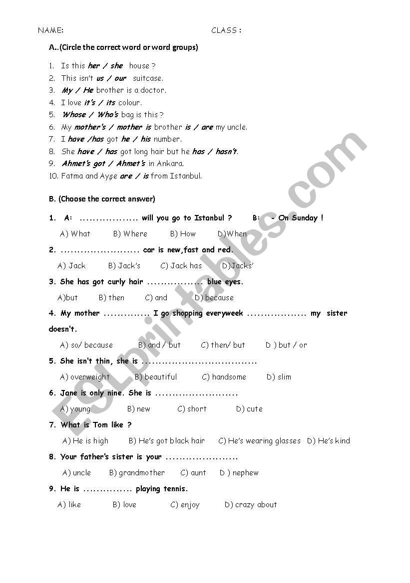 exam (worksheet) for 6 grade worksheet