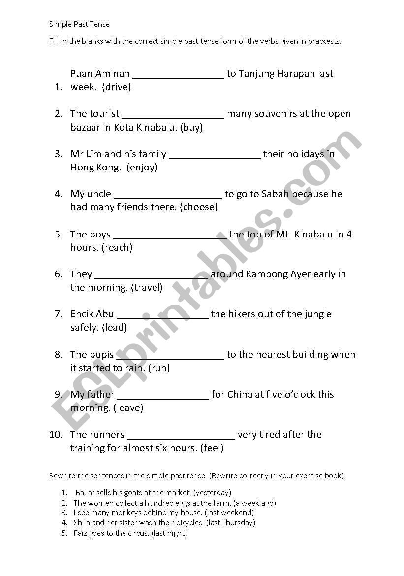 Past Tense Sheet worksheet