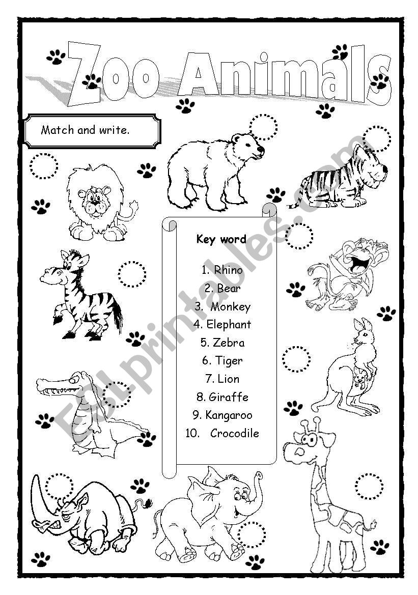 Zoo Animals worksheet
