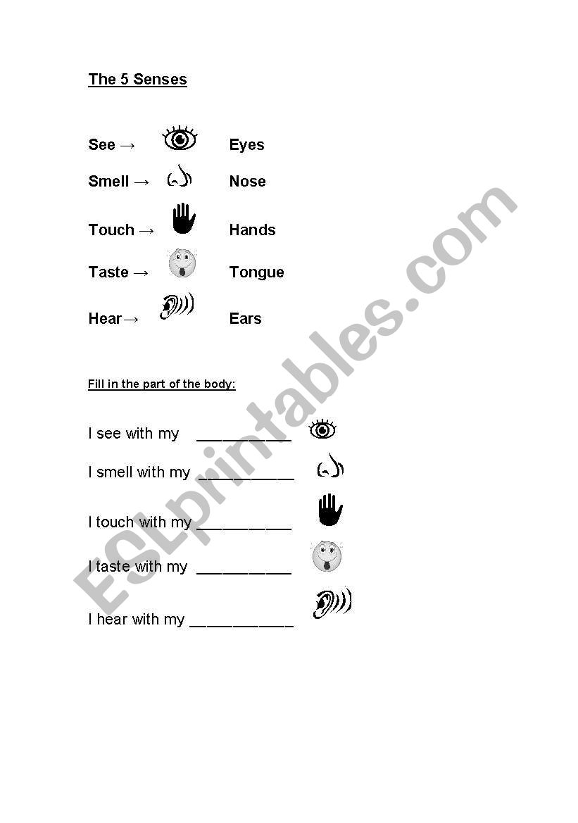 The 5 Senses worksheet