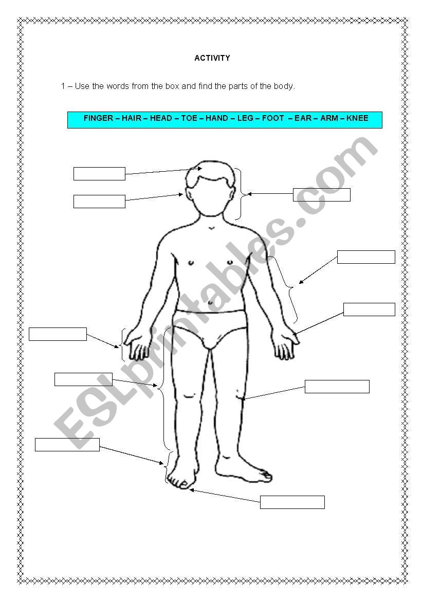 PARTS OF THE BODY worksheet