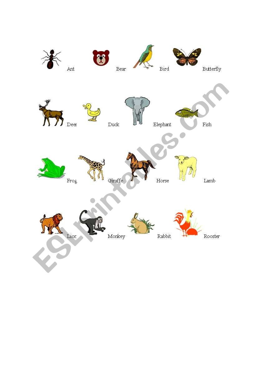 Animals worksheet