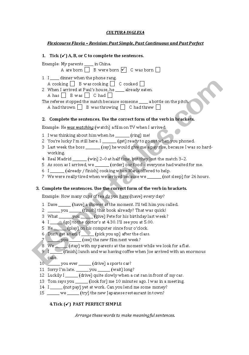Past Perfect Revision worksheet