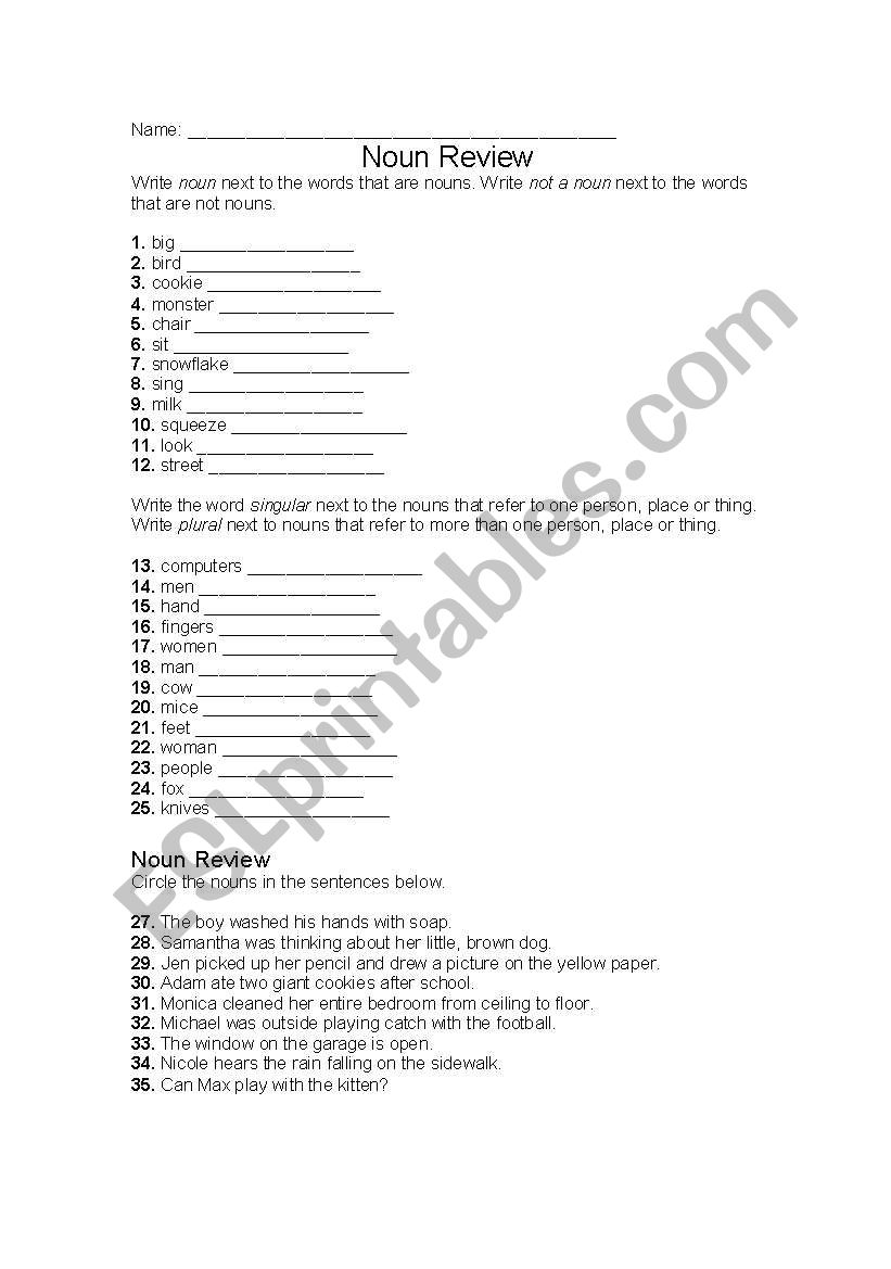 Noun Review worksheet