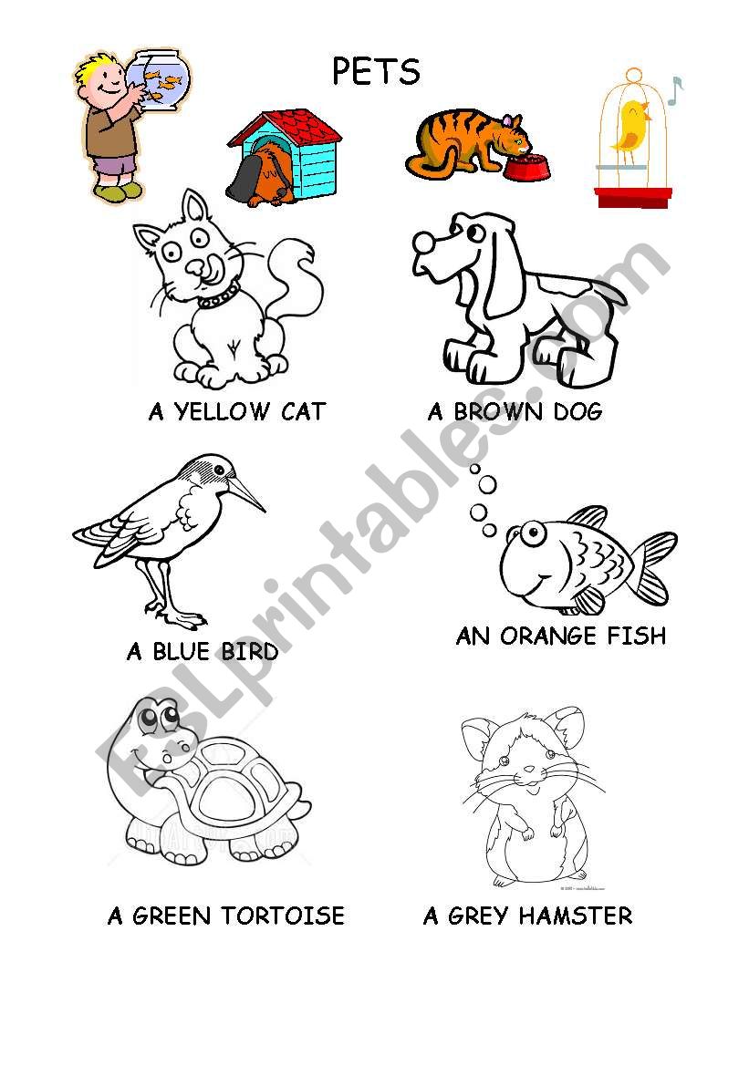 Pets worksheet