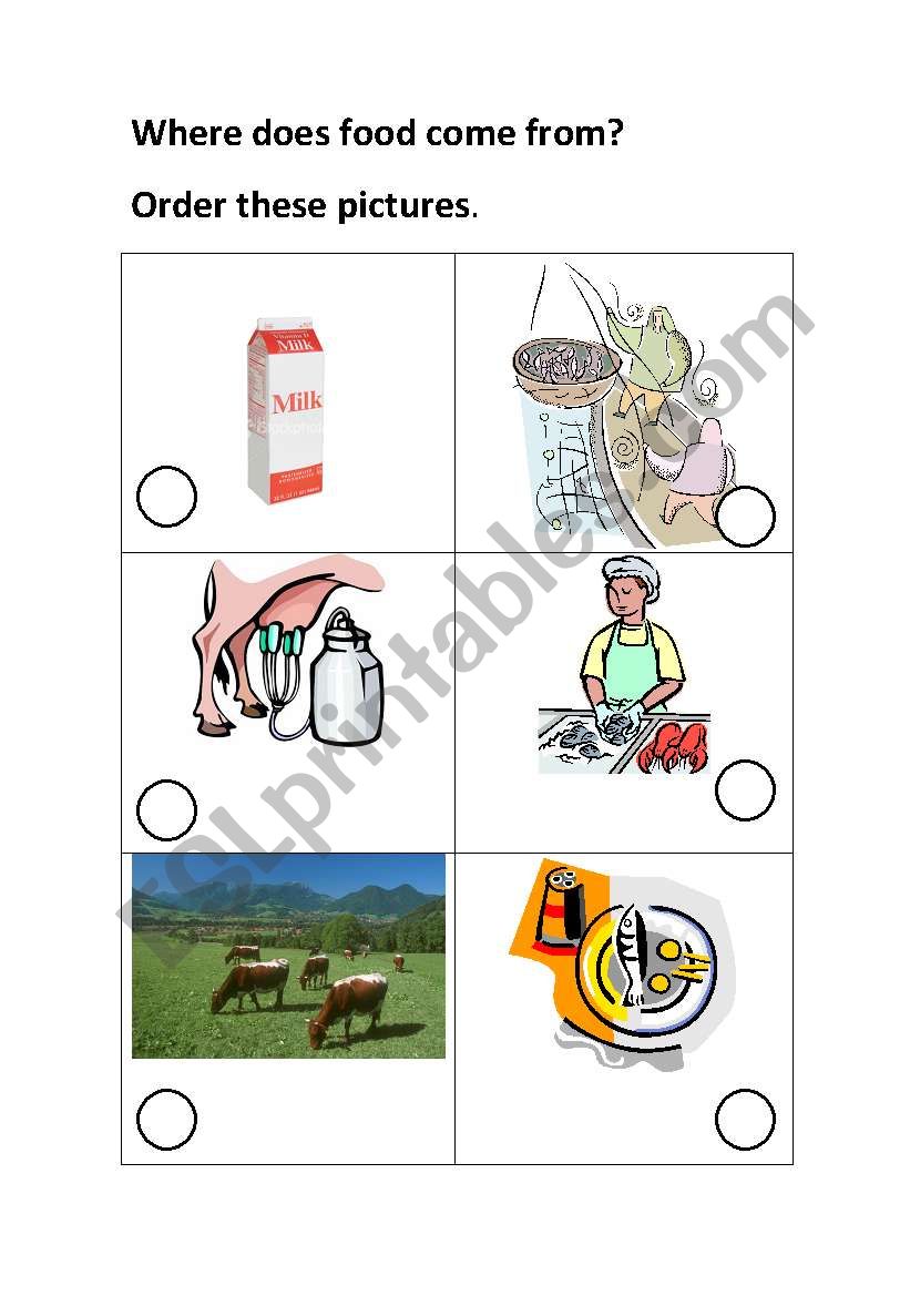 food worksheet