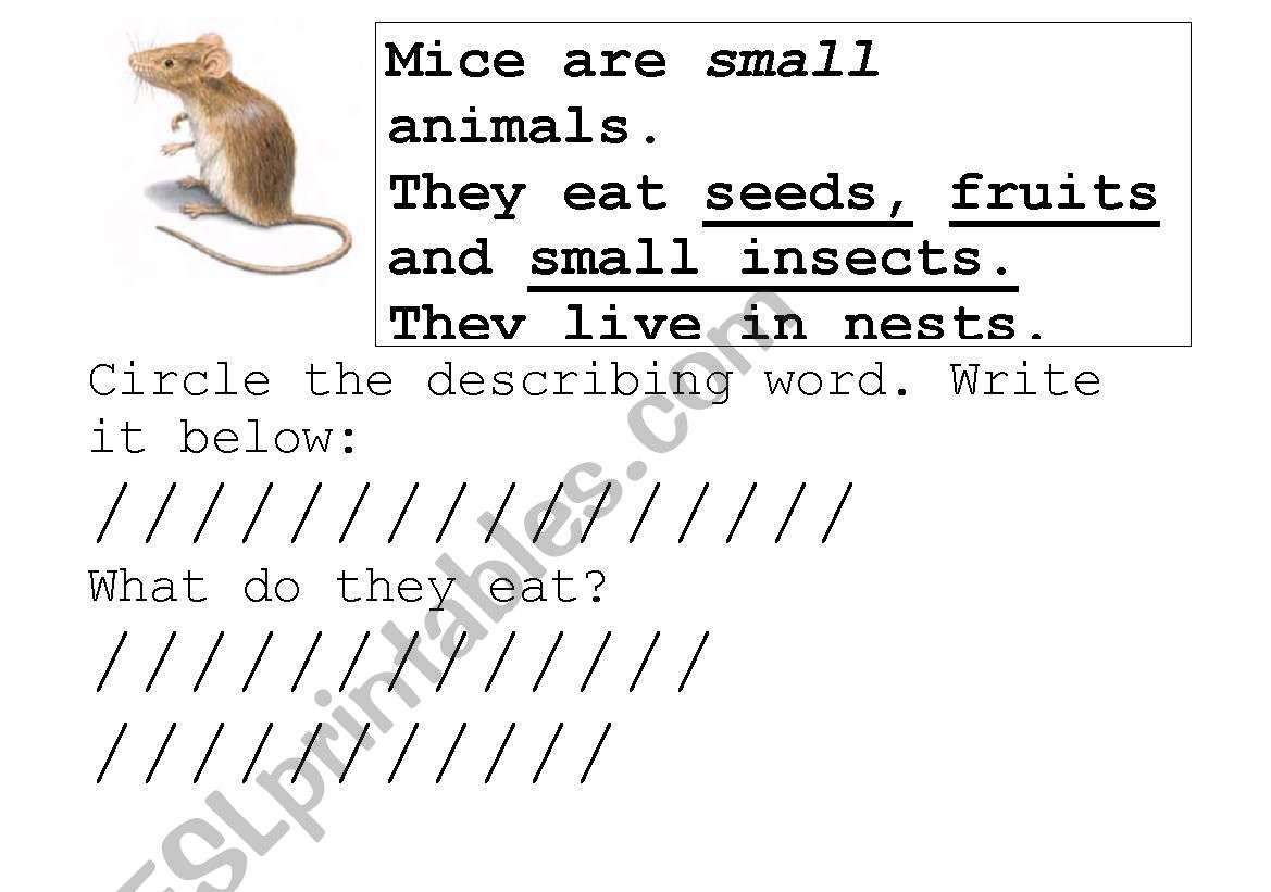 Mice Are Nice worksheet