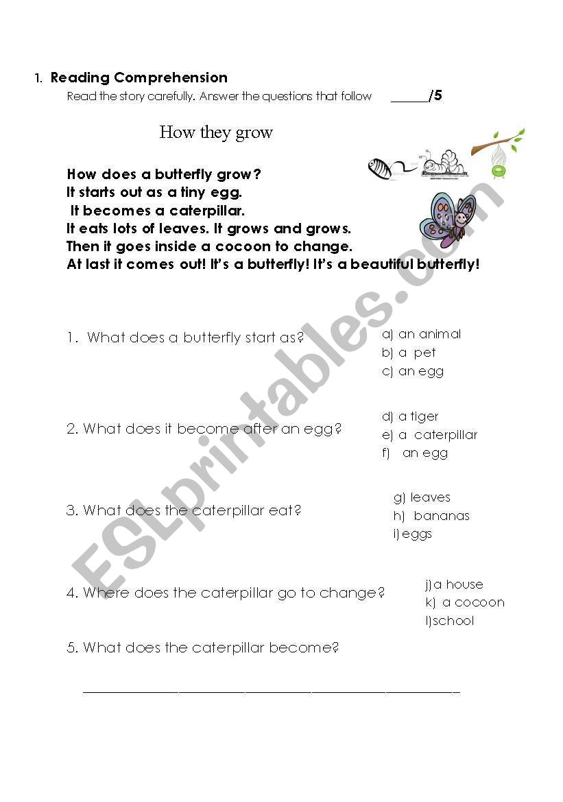 how butterflies grow reading comprehension