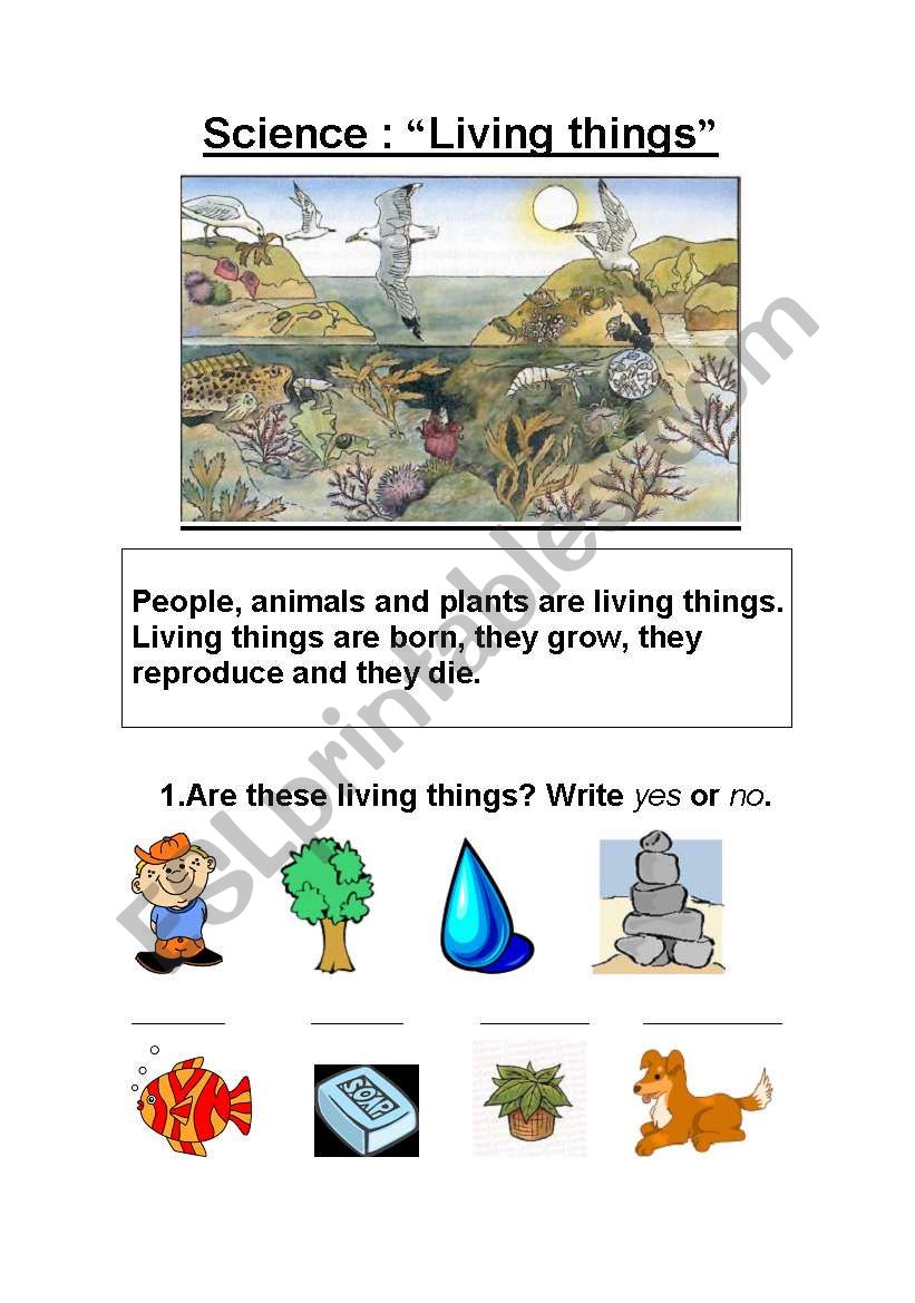 Living and Non Living Things worksheet