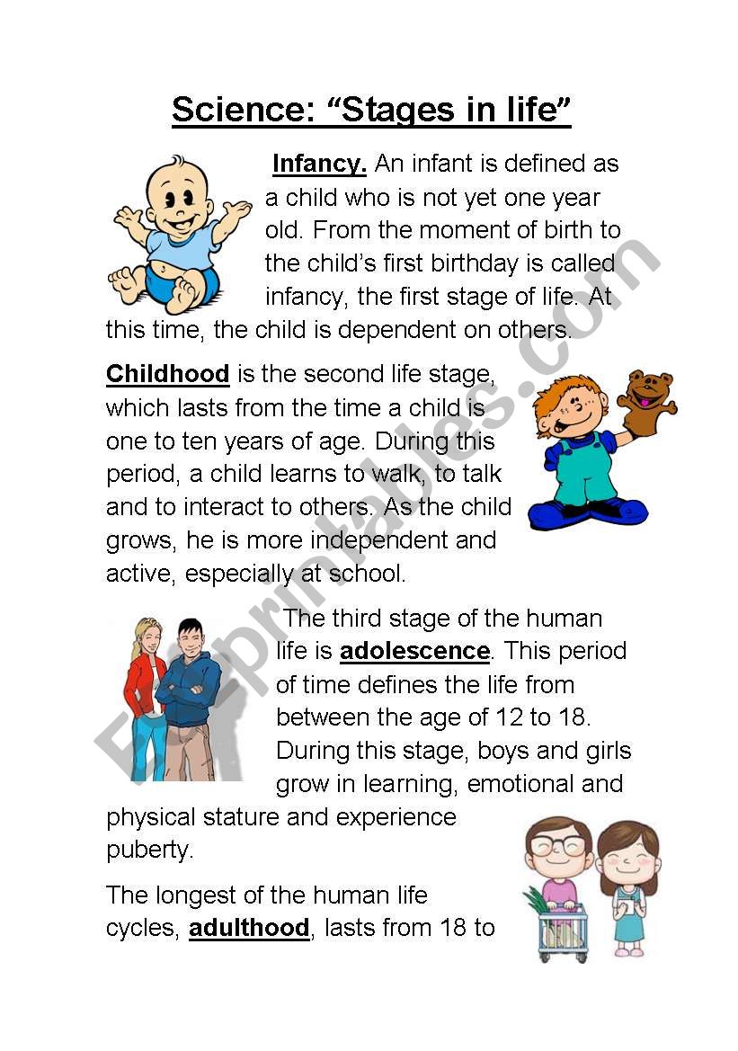 Stages in life (life cycle of humans)
