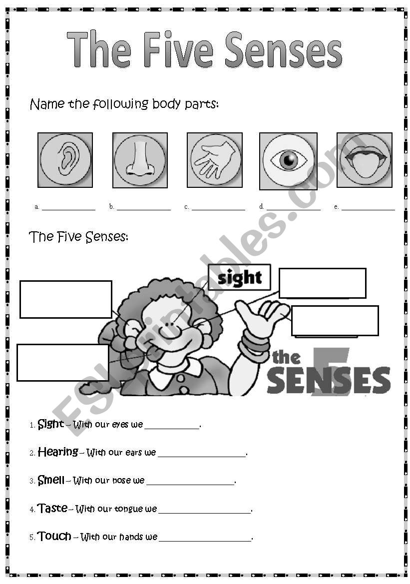 The 5 senses worksheet