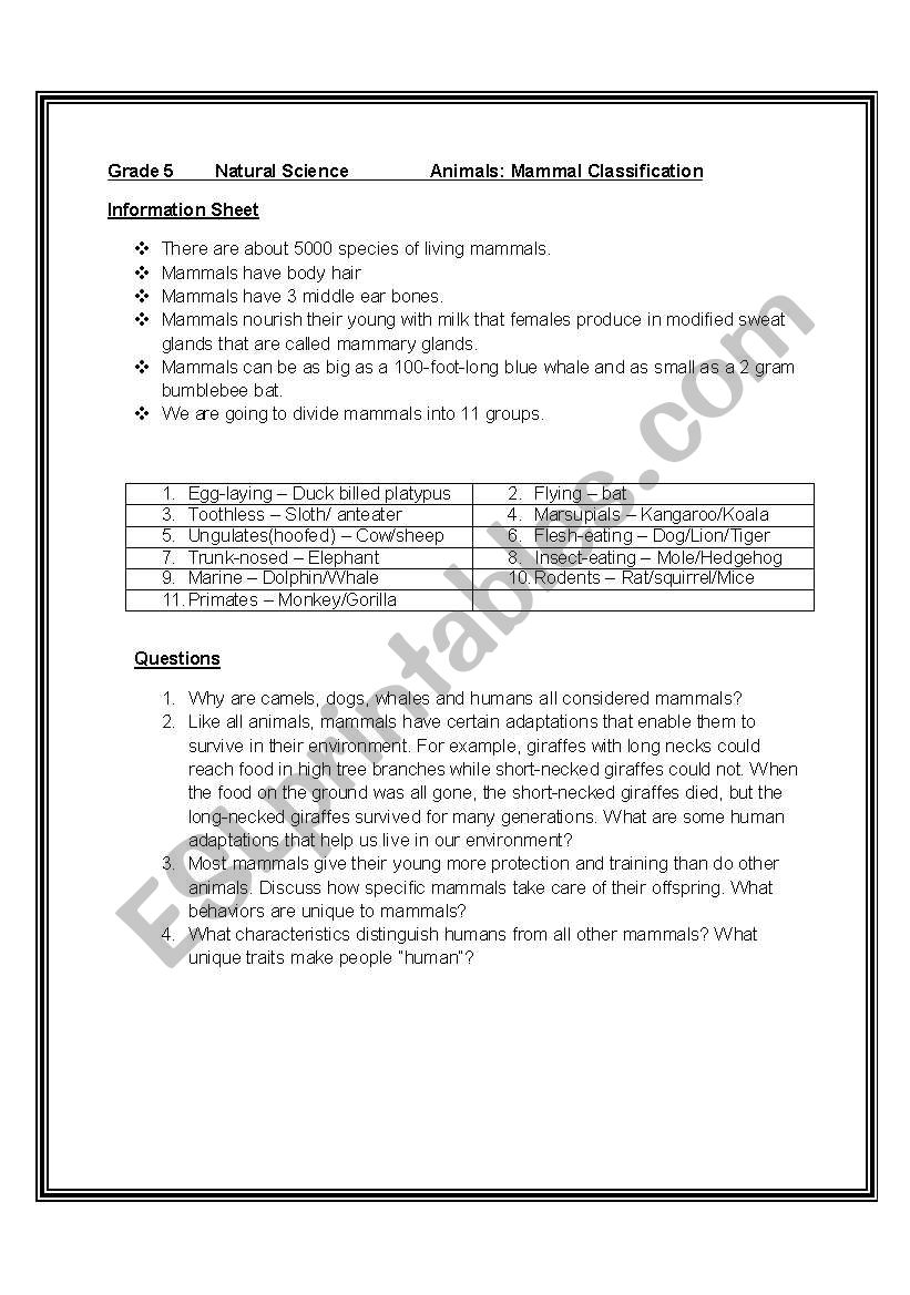 Animal classification worksheet