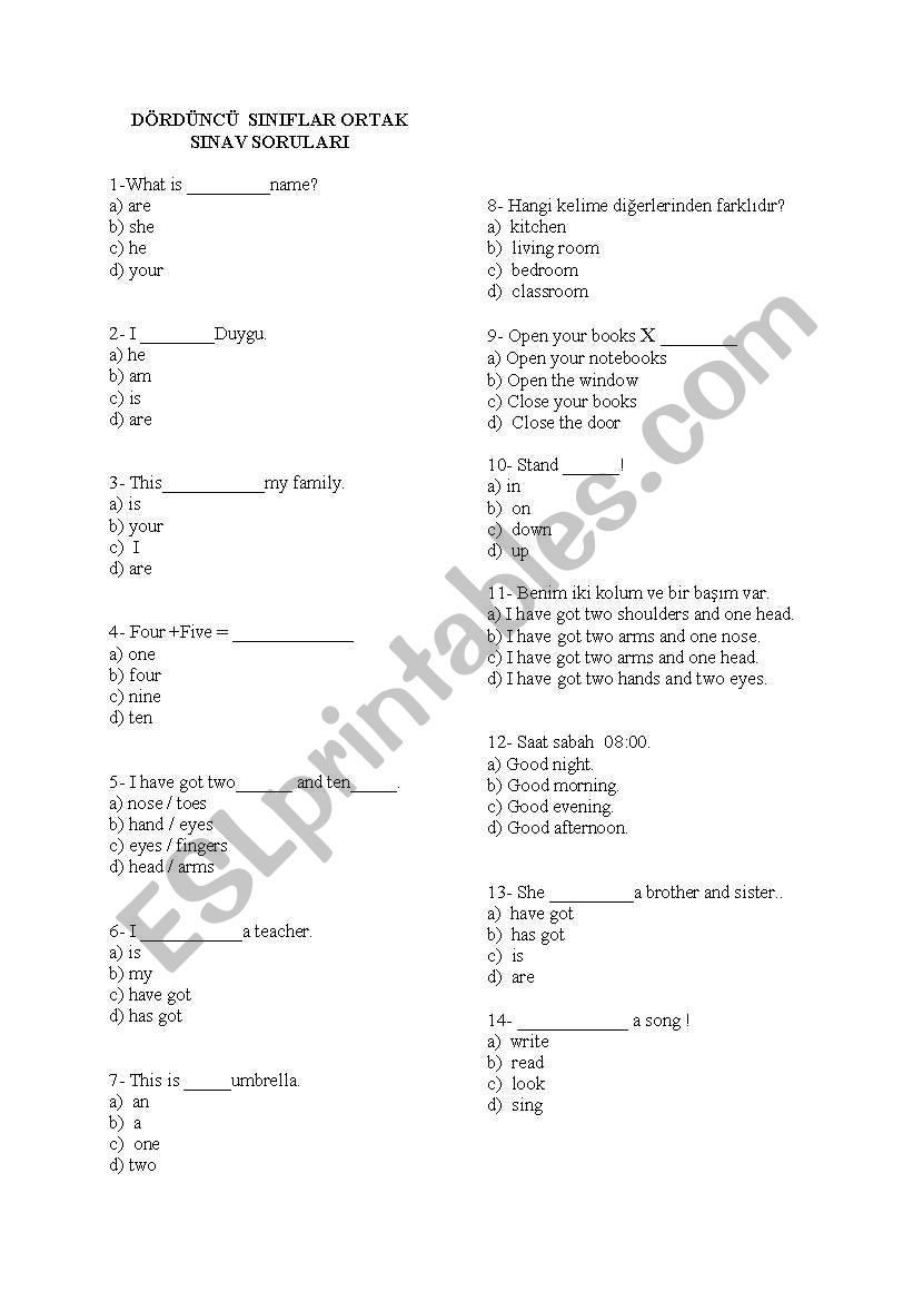 grammar for beginners worksheet