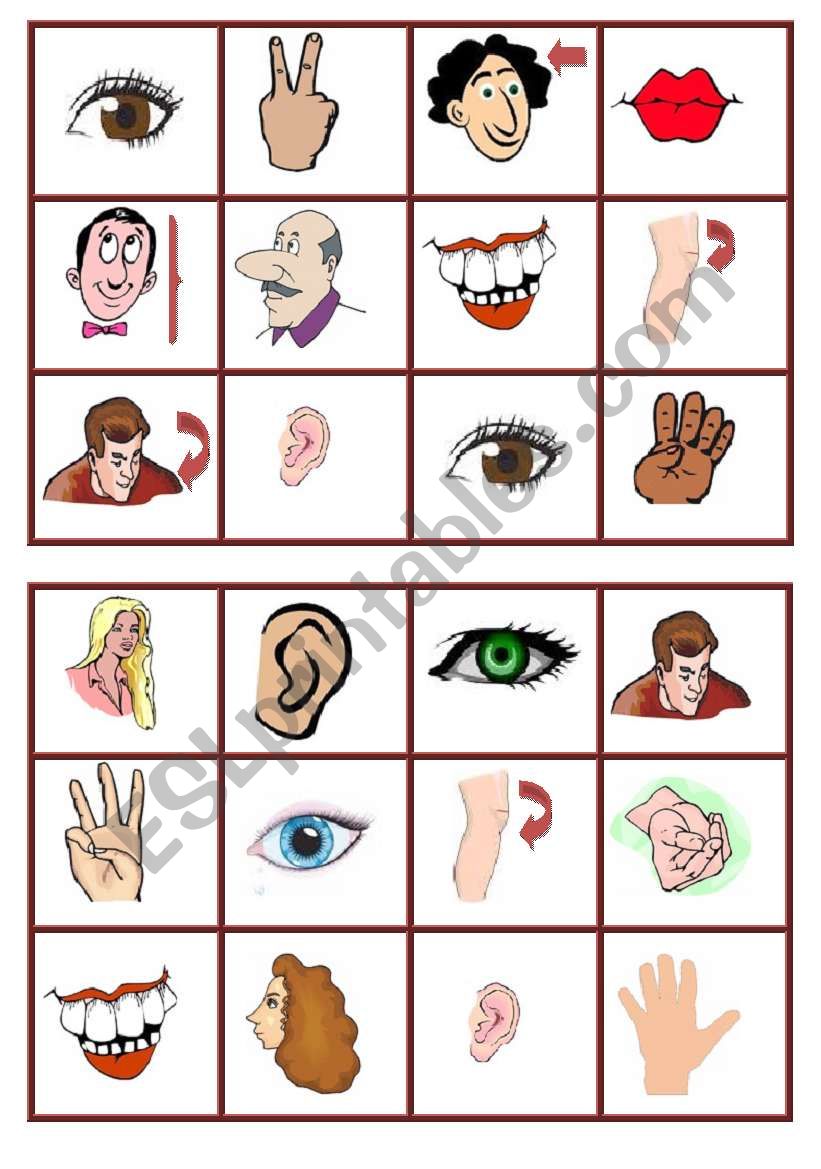 body parts bingo-1 worksheet