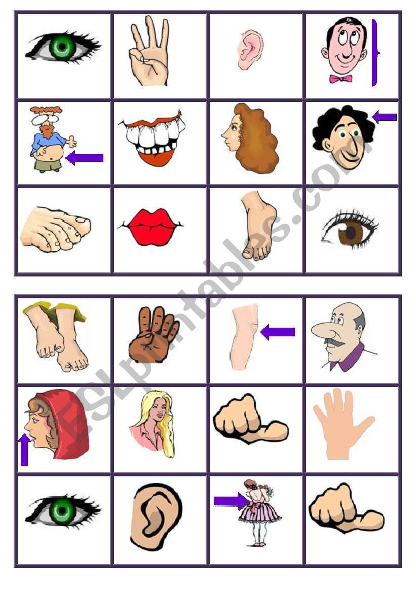 body parts bingo 2 worksheet