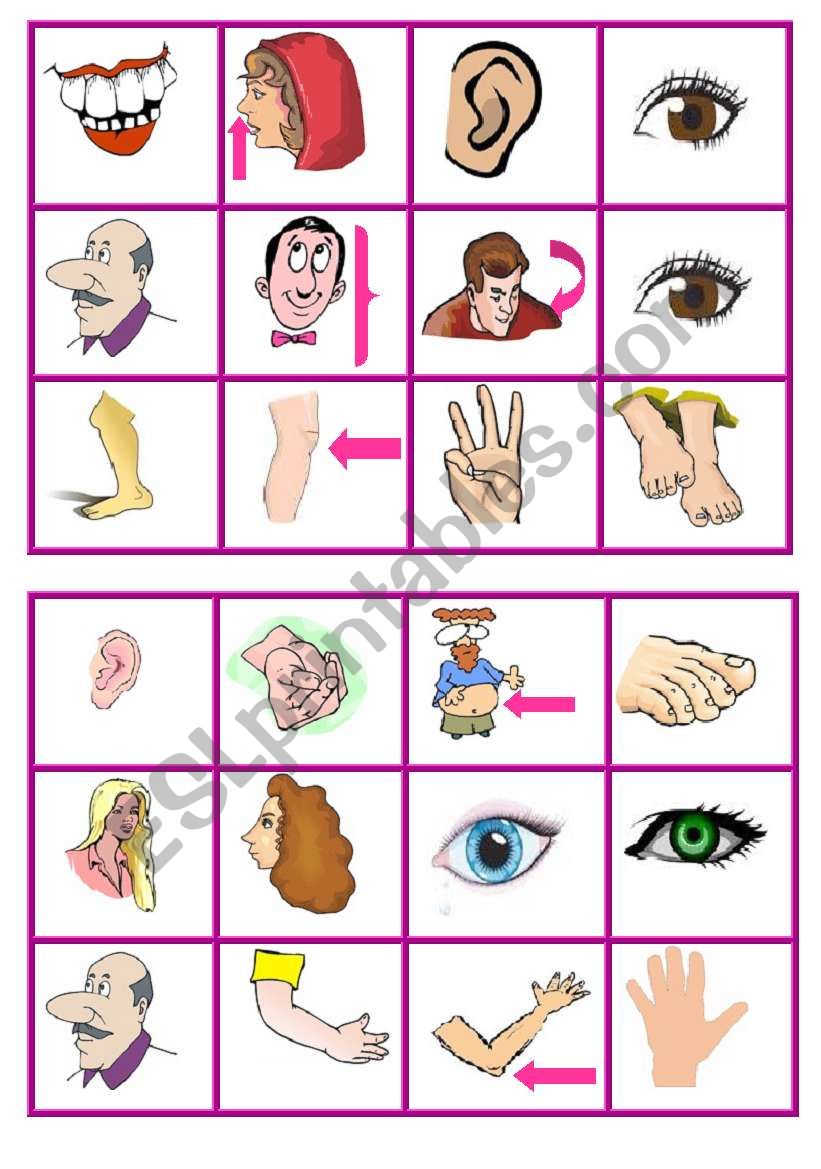 body parts bingo 3 worksheet