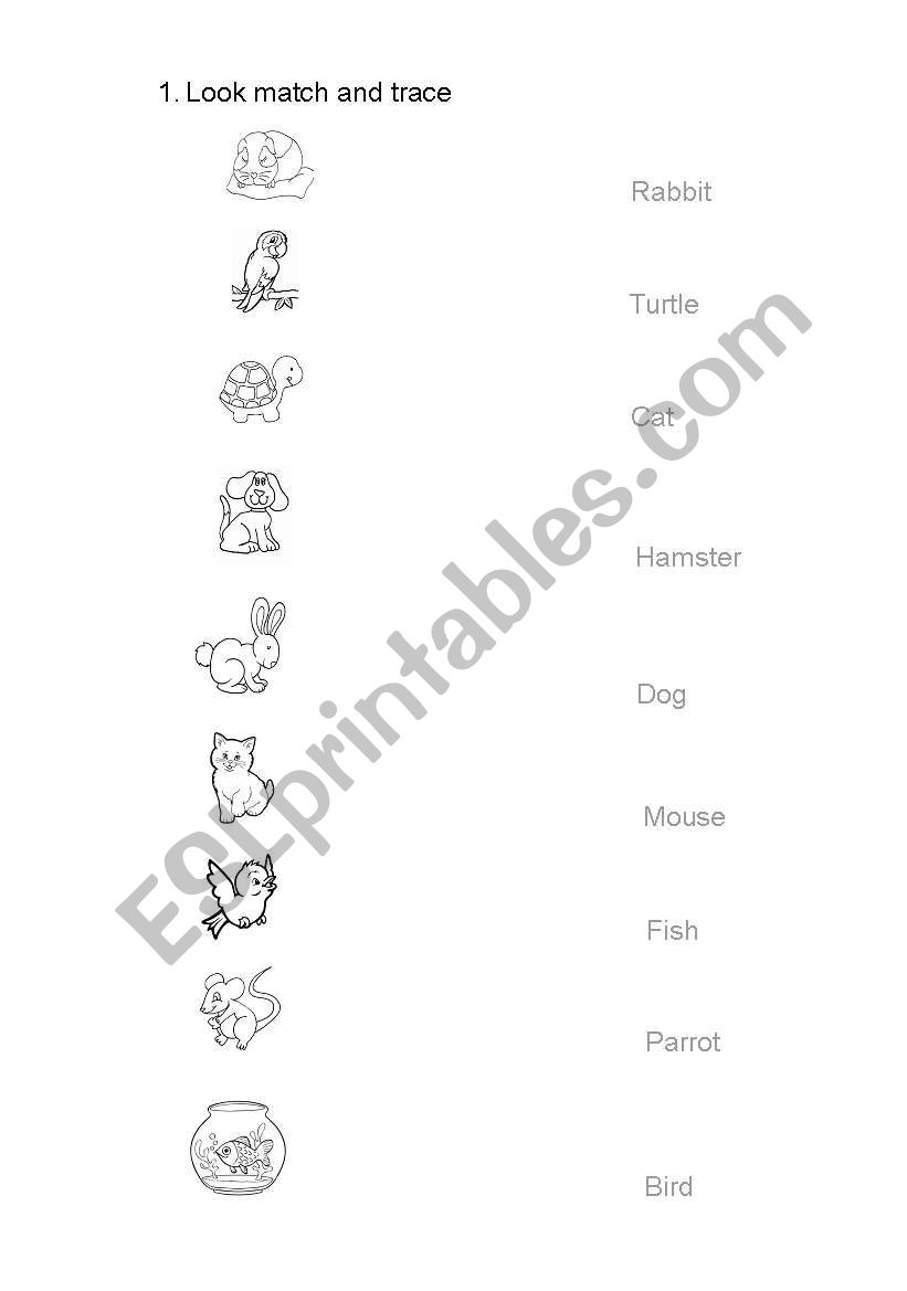 Toys worksheet