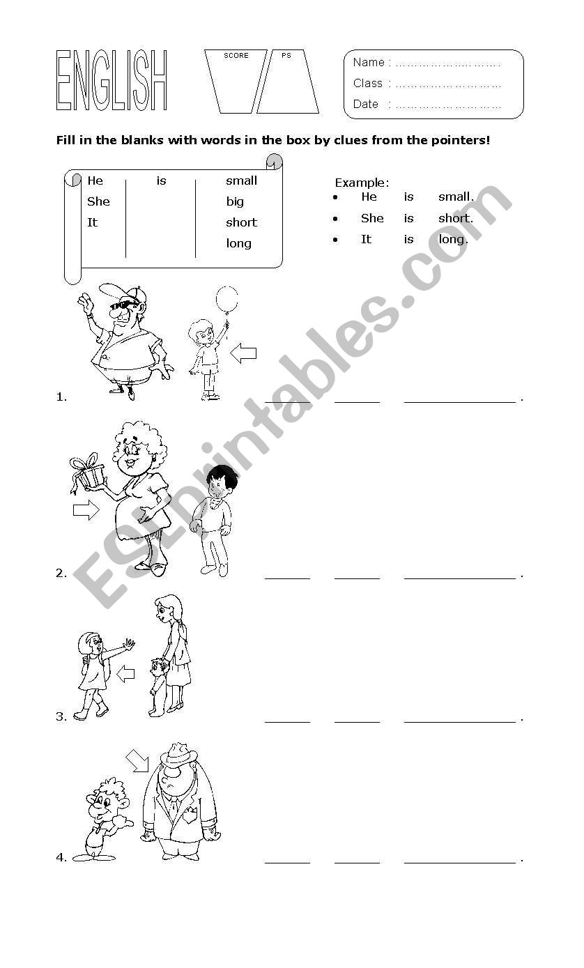 adjective worksheet