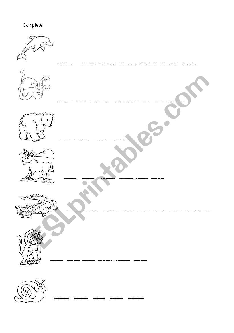 animals  worksheet