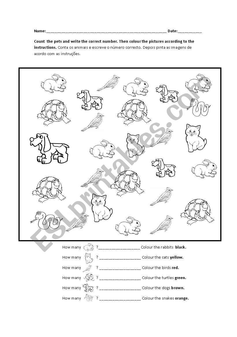 Pets  worksheet