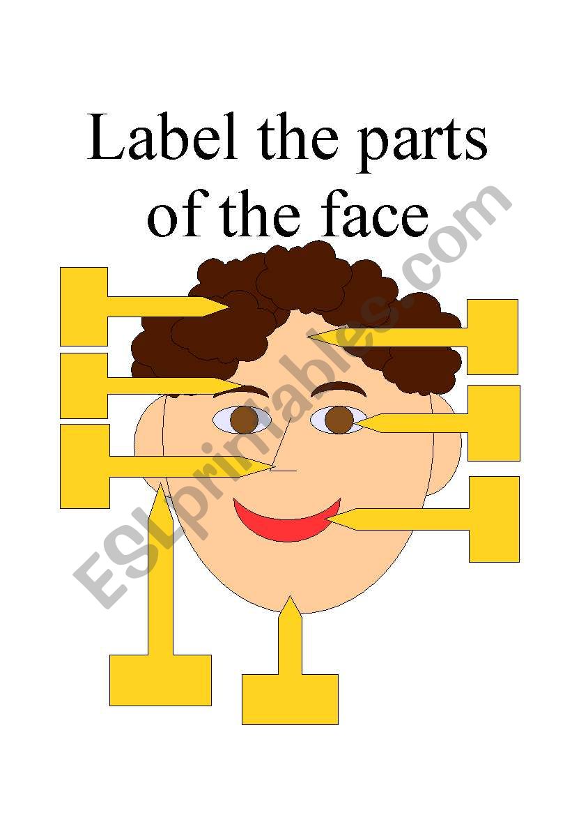 Facial features worksheet