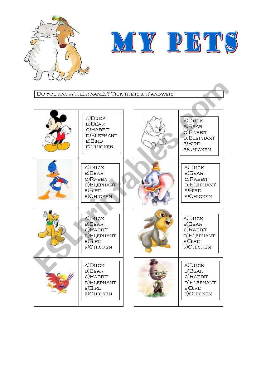 My Pets worksheet