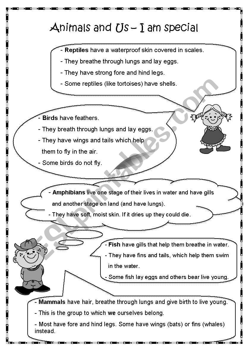 Animals and Us - I am special worksheet