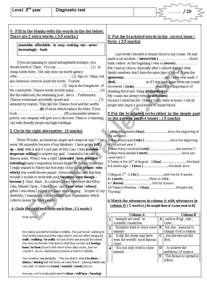 Diagnostic test  worksheet