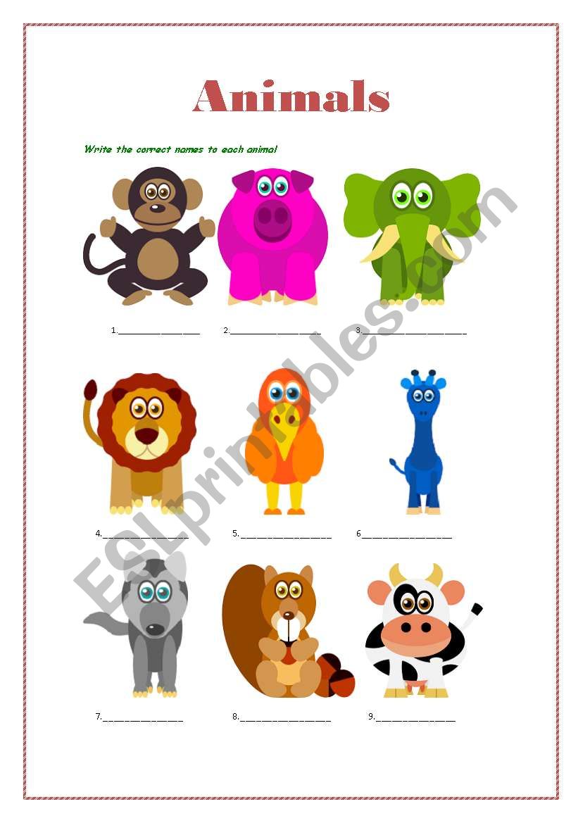 Animals  worksheet