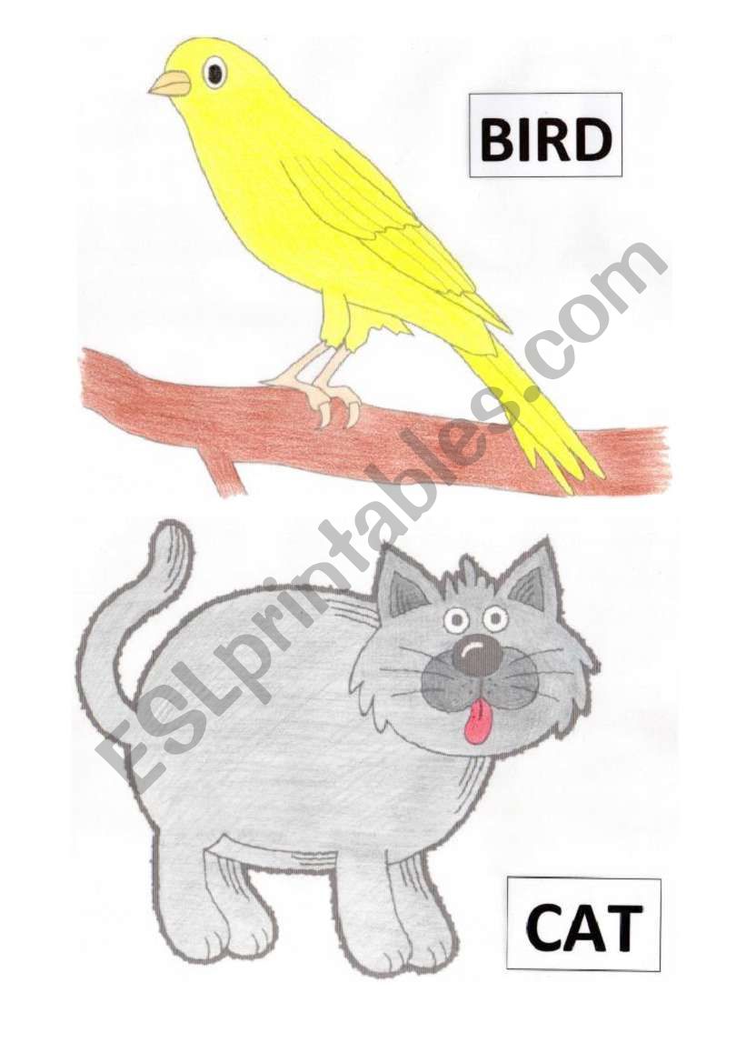 The Animals (pets) worksheet