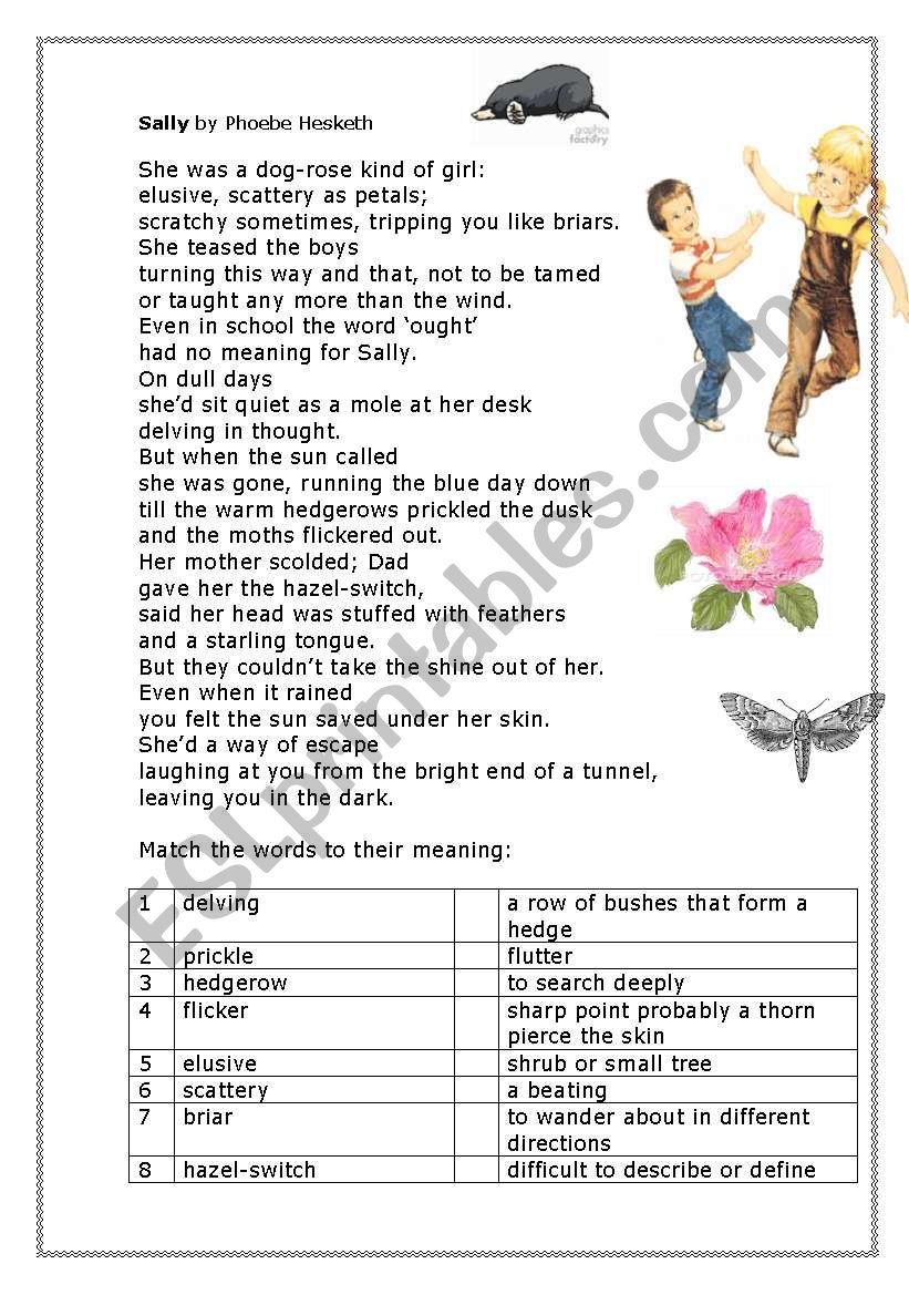 Poem Sally by Phoebe Hesketh worksheet