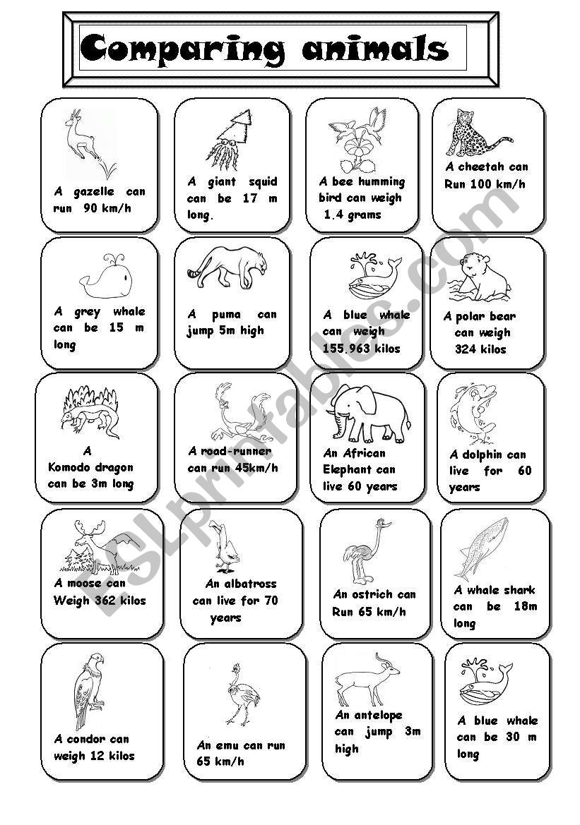 Comparing animals worksheet