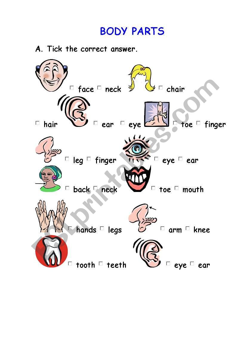 Body parts worksheet