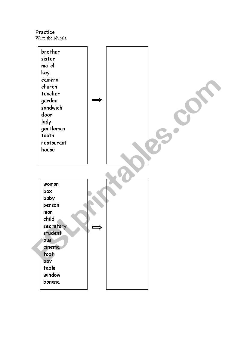 Plural revision test worksheet