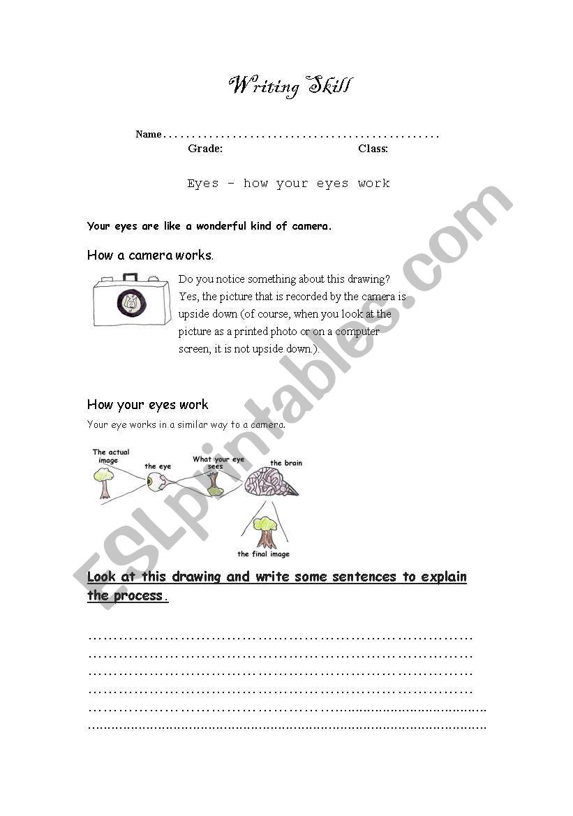 How Eyes Work worksheet