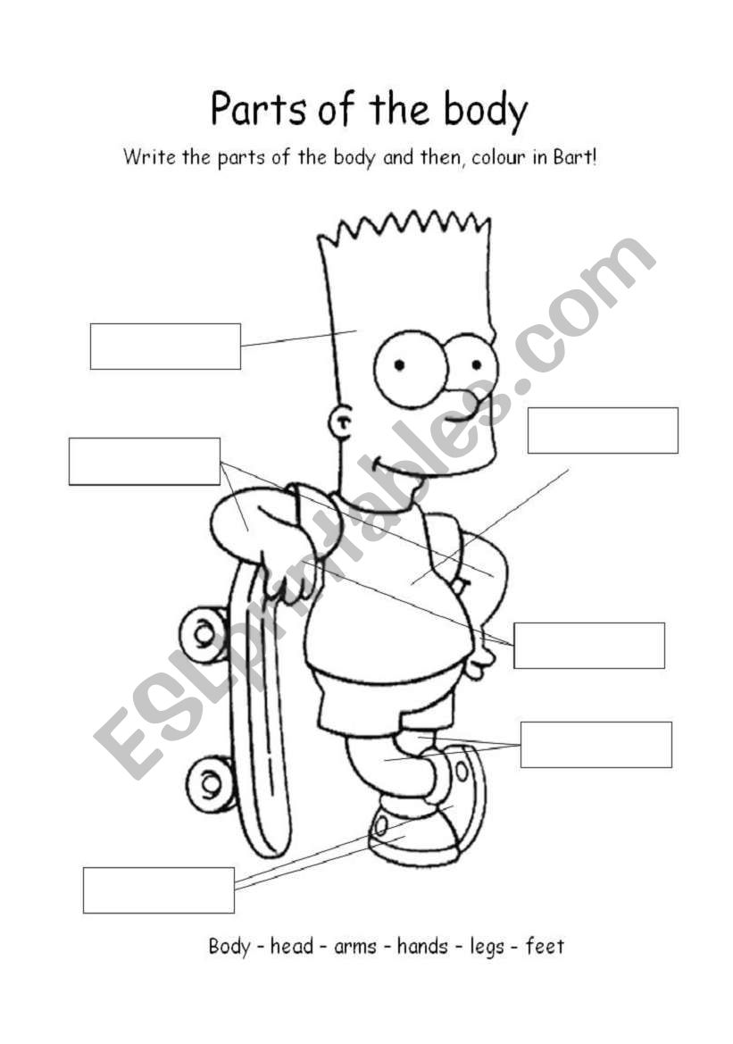 Parts of the body worksheet