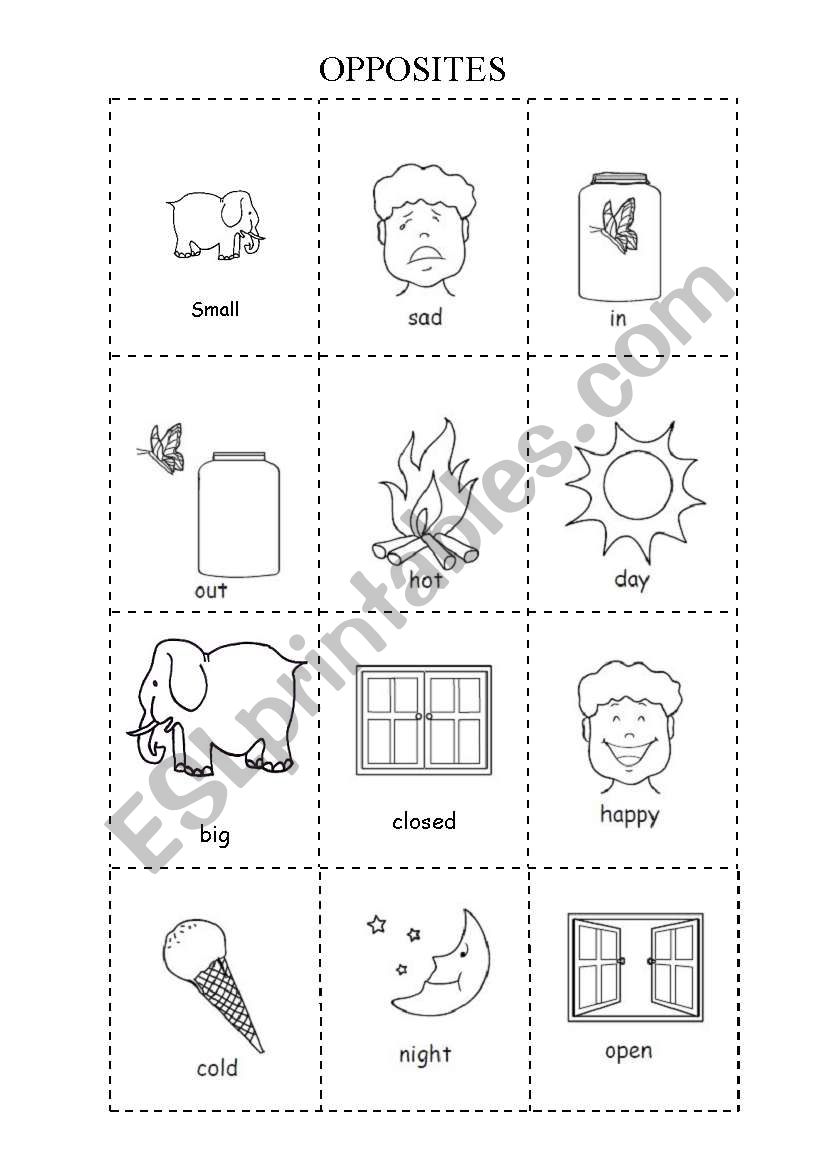 Opposites worksheet