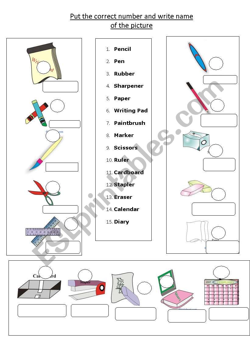 put the number and word worksheet