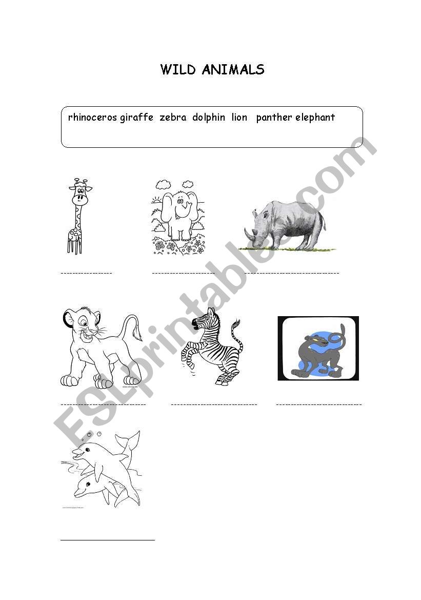 wild animals worksheet